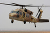 A UH-60L Yanshuf helicopter landing at Hatzerim Air Force Base, Israel Poster Print by Ofer Zidon/Stocktrek Images - Item # VARPSTZDN100191M