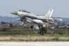 Hellenic Air Force F-16D Block 50 landing at Andravida Air Base, Greece Poster Print by Daniele Faccioli/Stocktrek Images - Item # VARPSTDFC100368M