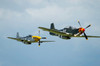Two P-51D Mustangs in United States Army Air Corps colors Poster Print by Riccardo Niccoli/Stocktrek Images - Item # VARPSTRCN100227M