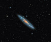 NGC 253, the Sculptor Galaxy Poster Print by Michael Miller/Stocktrek Images - Item # VARPSTMCM200021S