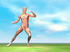 Male musculature in fighting stance Poster Print by Elena Duvernay/Stocktrek Images - Item # VARPSTEDV700020H