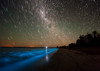 Star trails and bioluminescence, Gippsland Lakes, Australia Poster Print by Philip Hart/Stocktrek Images - Item # VARPSTPHA100044S