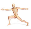 Human male in athletic dynamic posture, with skeleton superimposed Poster Print by Leonello Calvetti/Stocktrek Images - Item # VARPSTVET700046H