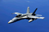 A F/A-18 Hornet flies a mission in support of Rim of the Pacific Poster Print by Stocktrek Images - Item # VARPSTSTK103773M