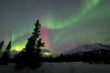 Aurora borealis over Carcross Desert, Carcross, Yukon, Canada Poster Print by Joseph Bradley/Stocktrek Images - Item # VARPSTJFB100124S
