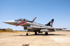 Special color painted Italian Air Force F-2000A Typhoon at Grosseto Air Base, Italy Poster Print by Daniele Faccioli/Stocktrek Images - Item # VARPSTDFC100405M