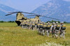 Paratroopers participate in a training jump with a CH-47 Chinook Poster Print by Stocktrek Images - Item # VARPSTSTK107914M