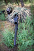 Soldiers practice sniper skills on a shooting range Poster Print by Stocktrek Images - Item # VARPSTSTK104767M