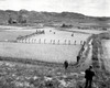 North Korean prisoners march single file across a rice paddy Poster Print by Stocktrek Images - Item # VARPSTSTK106000M