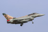 Italian Air Force F-2000A Typhoon prepares for landing Poster Print by Daniele Faccioli/Stocktrek Images - Item # VARPSTDFC100414M