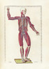 The science of human anatomy by Bartholomeo Eustachi Poster Print by National Library of Medicine/Stocktrek Images - Item # VARPSTNLM700027H