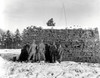 Paratroopers set up radar equipment near Bastogne, Belgium Poster Print by Stocktrek Images - Item # VARPSTSTK106028M