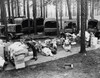 Rations are inspected before being loaded into trucks during Louisiana Maneuvers, circa 1942 Poster Print by Stocktrek Images - Item # VARPSTSTK500744A