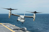 An MV-22B Osprey lands aboard the amphibious assault ship USS Wasp Poster Print by Stocktrek Images - Item # VARPSTSTK107668M