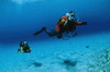 Scuba divers swimming underwater in a lake in Austria Poster Print by VWPics/Stocktrek Images - Item # VARPSTVWP401512U