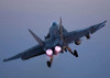 An F/A-18C Hornet in flight Poster Print by Stocktrek Images - Item # VARPSTSTK100741M