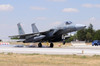 A Royal Saudi Air Force F-15C Eagle landing on the runway Poster Print by Daniele Faccioli/Stocktrek Images - Item # VARPSTDFC100156M