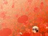 Field of blood cells illustration Poster Print by National Institutes of Health/Stocktrek Images - Item # VARPSTNIH700018H