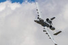 An A-10 Thunderbolt II of the US Air Force Poster Print by Rob Edgcumbe/Stocktrek Images - Item # VARPSTRDG100155M