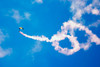 A US Navy Parachute Team Leap Frogs crewmember descends through the sky Poster Print by Stocktrek Images - Item # VARPSTSTK101263M A US Navy Parachute Team Leap Frogs crewmember descends through the sky Poster Print by Stocktrek Images - Item # VARPSTSTK101263M