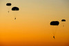 US Army Rangers parachute over Florida Poster Print by Stocktrek Images - Item # VARPSTSTK105694M