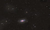 The Sunflower Galaxy Poster Print by Reinhold Wittich/Stocktrek Images - Item # VARPSTRWT200013S