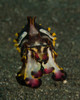 Flamboyant cuttlefish, Lembeh Strait, Indonesia Poster Print by Brent Barnes/Stocktrek Images - Item # VARPSTBBA400080U