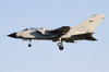 A Panavia Tornado IDS of the Italian Air Force Poster Print by Luca Nicolotti/Stocktrek Images - Item # VARPSTNCT100080M