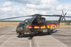 A German Army CH-53G helicopter in anniversary markings Poster Print by Timm Ziegenthaler/Stocktrek Images - Item # VARPSTTZG100231M