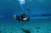 A scuba diver familiarizing himself with an underwater camera, Austria Poster Print by VWPics/Stocktrek Images - Item # VARPSTVWP401515U