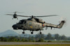 AgustaWestland Lynx helicopters of the Royal Malaysian Navy Poster Print by Remo Guidi/Stocktrek Images - Item # VARPSTRGU100008M AgustaWestland Lynx helicopters of the Royal Malaysian Navy Poster Print by Remo Guidi/Stocktrek Images - Item # VARPSTRGU100008M