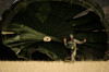 A US soldier collapses his parachute after a static line jump Poster Print by Stocktrek Images - Item # VARPSTSTK105938M