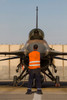 Airman signals to the pilot of an F-16A Netz of the Israeli Air Force Poster Print by Ofer Zidon/Stocktrek Images - Item # VARPSTZDN100034M Airman signals to the pilot of an F-16A Netz of the Israeli Air Force Poster Print by Ofer Zidon/Stocktrek Images - Item # VARPSTZDN100034M