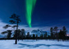 Moonlight and aurora borealis, Forramarka, Troms, Norway Poster Print by Arild Heitmann/Stocktrek Images - Item # VARPSTAHE100114S