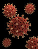 A 3D representation Rotavirus virions set against a black background Poster Print by Stocktrek Images - Item # VARPSTSTK701237H