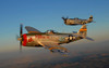 P-47 Thunderbolts flying over Chino, California Poster Print by Phil Wallick/Stocktrek Images - Item # VARPSTPWA100113M