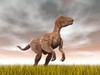 Velociraptor dinosaur standing in the yellow grass Poster Print by Elena Duvernay/Stocktrek Images - Item # VARPSTEDV600118P Velociraptor dinosaur standing in the yellow grass Poster Print by Elena Duvernay/Stocktrek Images - Item # VARPSTEDV600118P