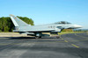 Eurofighter EF2000 Typhoon from the German Air Force Poster Print by Riccardo Niccoli/Stocktrek Images - Item # VARPSTRCN100297M