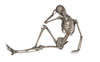 Front view of a human skeleton posing Poster Print by Elena Duvernay/Stocktrek Images - Item # VARPSTEDV700051H