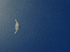 A B-2 Spirit flies over the Pacific Ocean Poster Print by Stocktrek Images - Item # VARPSTSTK105158M