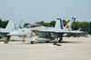 US Navy F/A-18F Super Hornet at Naval Air Station Oceana, Virginia Poster Print by Riccardo Niccoli/Stocktrek Images - Item # VARPSTRCN100060M