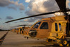 Israeli Air Force UH-60L Yanshuf helicopters parked on the flight line Poster Print by Ofer Zidon/Stocktrek Images - Item # VARPSTZDN100050M