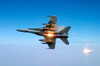 An F/A-18C Hornet aircraft tests its flare countermeasure system Poster Print by Stocktrek Images - Item # VARPSTSTK101671M