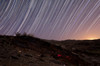 Star trails and rock art in the central province of Iran Poster Print by Amin Jamshidi/Stocktrek Images - Item # VARPSTAAM200009S