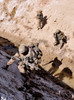 Soldiers approach a suspected weapons cache in Afghanistan Poster Print by Stocktrek Images - Item # VARPSTSTK106999M