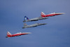 Swiss Air Force F-5E Tigers in different paint styles flying over Switzerland Poster Print by Timm Ziegenthaler/Stocktrek Images - Item # VARPSTTZG100649M