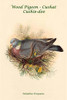 Palumbus Torquatus - Wood Pigeon - Cushat - Cushie-doo Poster Print by John  Gould - Item # VARBLL0587319844