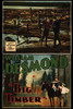 Lumberjacks on Floating Logs Poster Print - Item # VARBLL058762129L