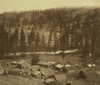 cluster of log buildings, one identified as a restaurant, of the gold mining town, Rock Creek, British Columbia, as seen from a hillside above the town, with the creek in the background. Poster Print - Item # VARBLL058750869L
