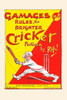 A cricket player going back for a strong hit. Poster Print by RIP - Item # VARBLL0587315733